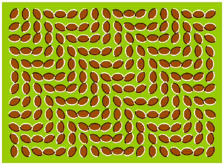 optical_illusion.gif