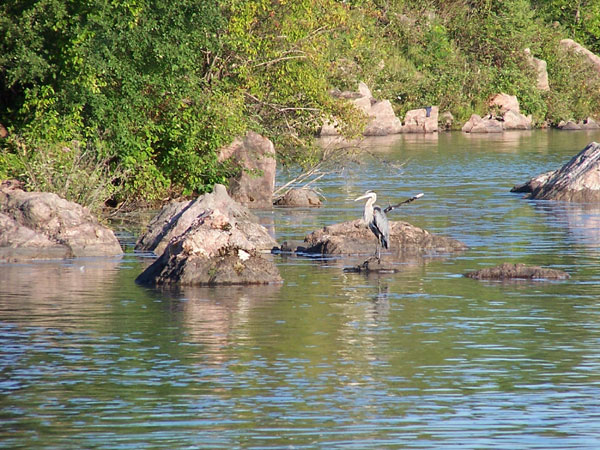 20070728 - 20070801 Buckhorn 17