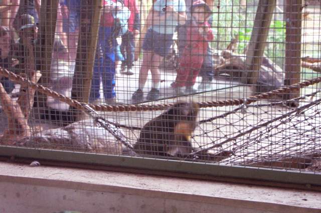 20050618 Toronto Zoo 33