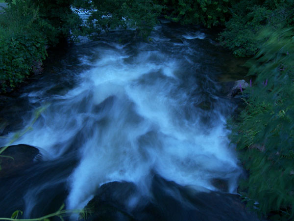 Buckhorn in Summer 2008 123