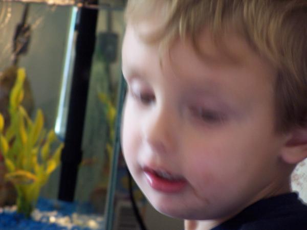 20050723 Andrew's 3rd Birthday Party 01