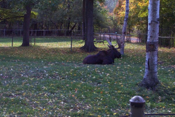 20051014 Trip to Toronto Zoo 11