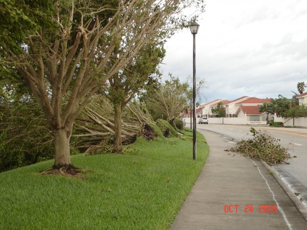 20051024 Hurricane Wilma 08