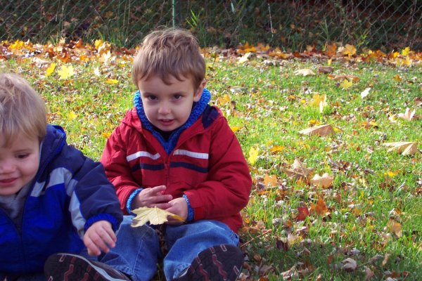 20051108 Andrew and Matthew in Autumn 10