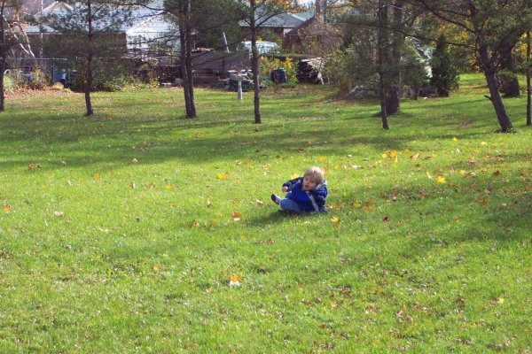 20051108 Andrew and Matthew in Autumn 16
