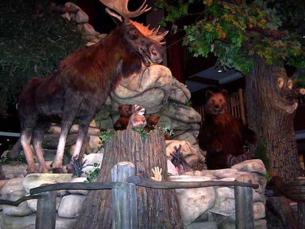 20060406 Our Stay at the Great Wolf Lodge 15