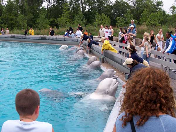 20060828 Trip to Marineland 24