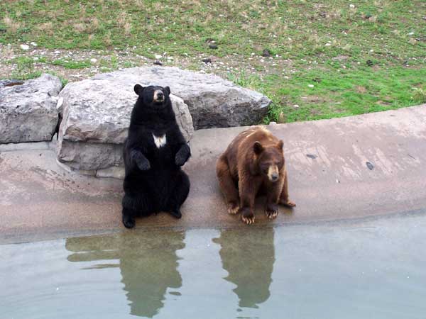 20060828 Trip to Marineland 27