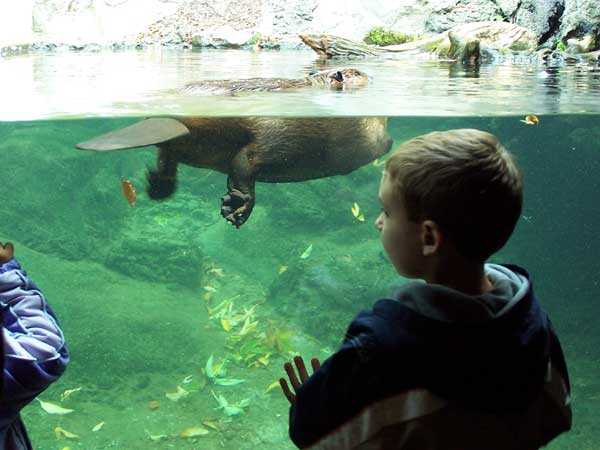 20061014 Trip to Toronto Zoo 21