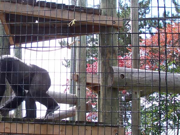 20061014 Trip to Toronto Zoo 28