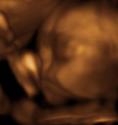 Baby #3's 3D Ultrasound 23