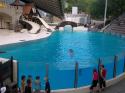 20080721 Trip to Marineland 13