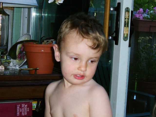 Photograph